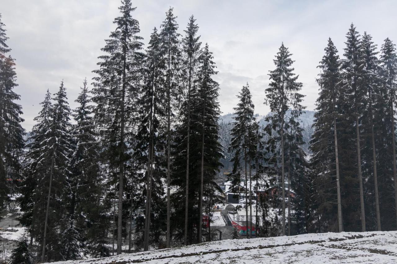 Hvoya Apart-Hotel & Spa Bukovel Eksteriør bilde